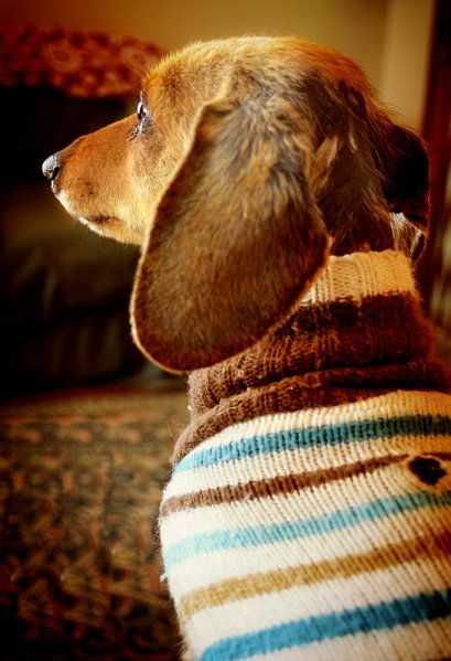 Basil Fawlty in his Sweater-small